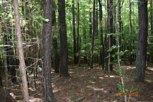 LOOKOUT TOWER ROAD, BLACKSBURG, SC 29702, photo 5 of 10