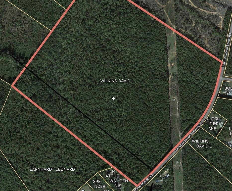 GOUCHER GREEN BETHEL RD LOT D ROAD, GAFFNEY, SC 29340, photo 1