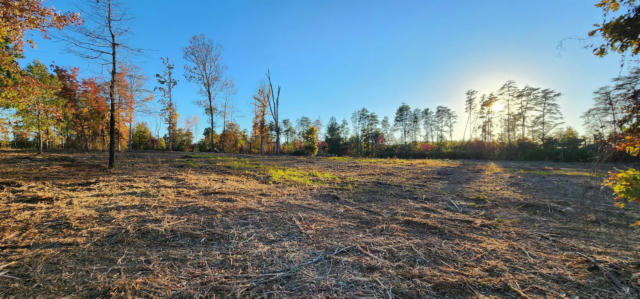 LOT 1 POORS FORD ROAD, RUTHERFORDTON, NC 28139, photo 2 of 31