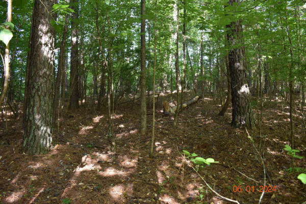 LOOKOUT TOWER ROAD, BLACKSBURG, SC 29702, photo 4 of 10